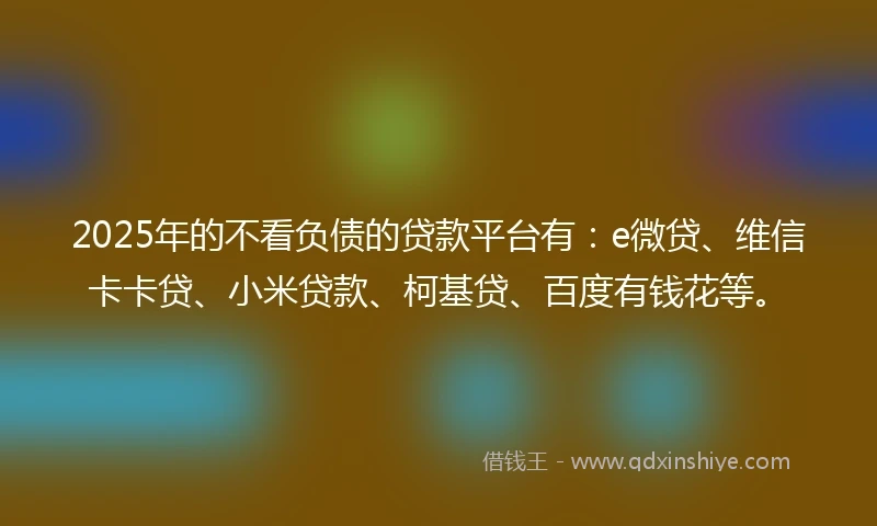 2025年的不看负债的贷款平台有：e微贷、维信卡卡贷、小米贷款、柯基贷、百度有钱花等。