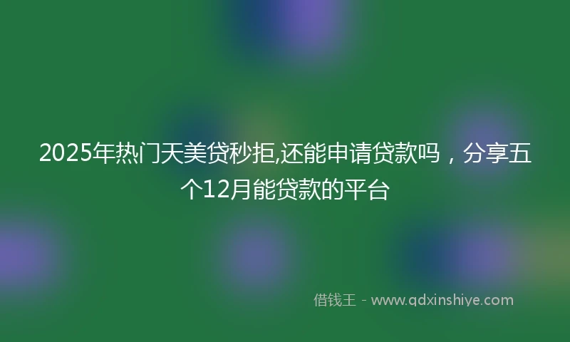 2025年热门天美贷秒拒,还能申请贷款吗，分享五个12月能贷款的平台