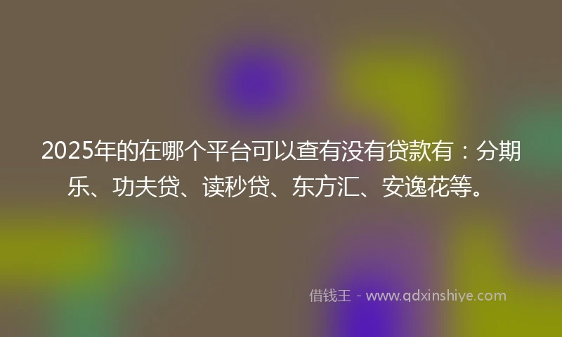 2025年的在哪个平台可以查有没有贷款有：分期乐、功夫贷、读秒贷、东方汇、安逸花等。