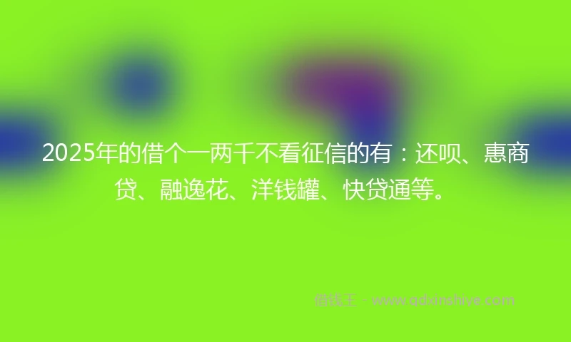 2025年的借个一两千不看征信的有：还呗、惠商贷、融逸花、洋钱罐、快贷通等。