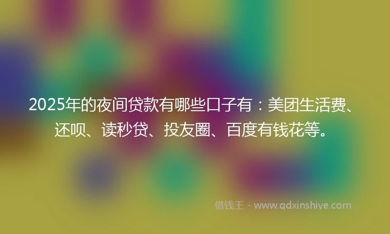 2025年的夜间贷款有哪些口子有：美团生活费、还呗、读秒贷、投友圈、百度有钱花等。