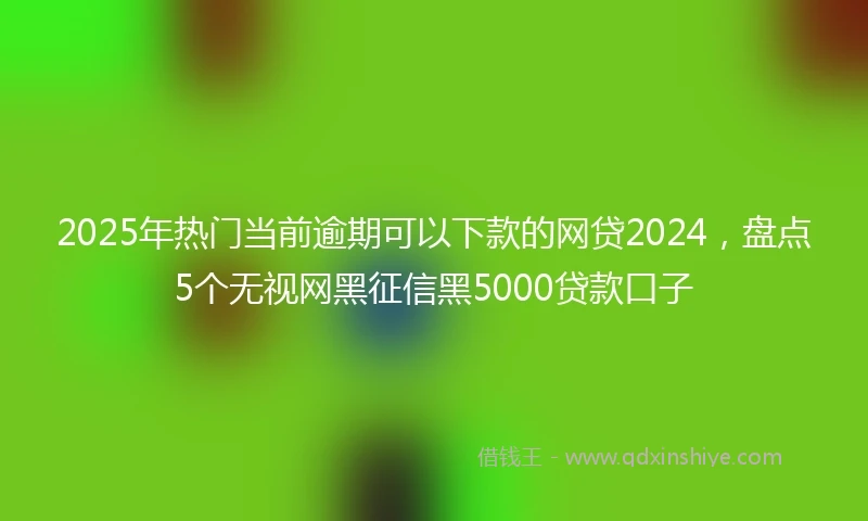 2025年热门当前逾期可以下款的网贷2024，盘点5个无视网黑征信黑5000贷款口子