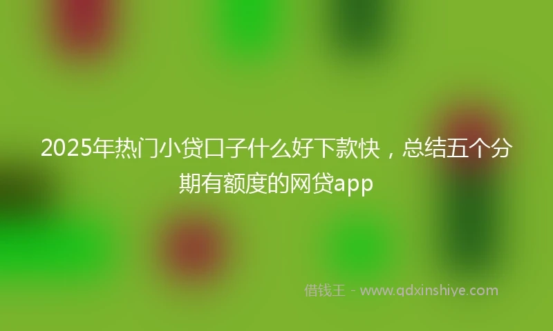 2025年热门小贷口子什么好下款快，总结五个分期有额度的网贷app