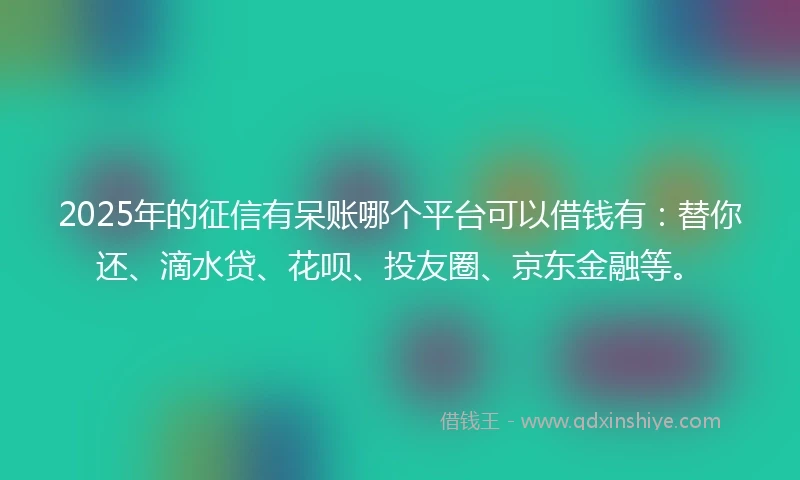 2025年的征信有呆账哪个平台可以借钱有：替你还、滴水贷、花呗、投友圈、京东金融等。