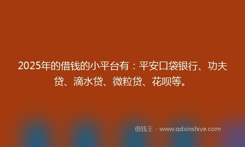2025年的借钱的小平台有：平安口袋银行、功夫贷、滴水贷、微粒贷、花呗等。