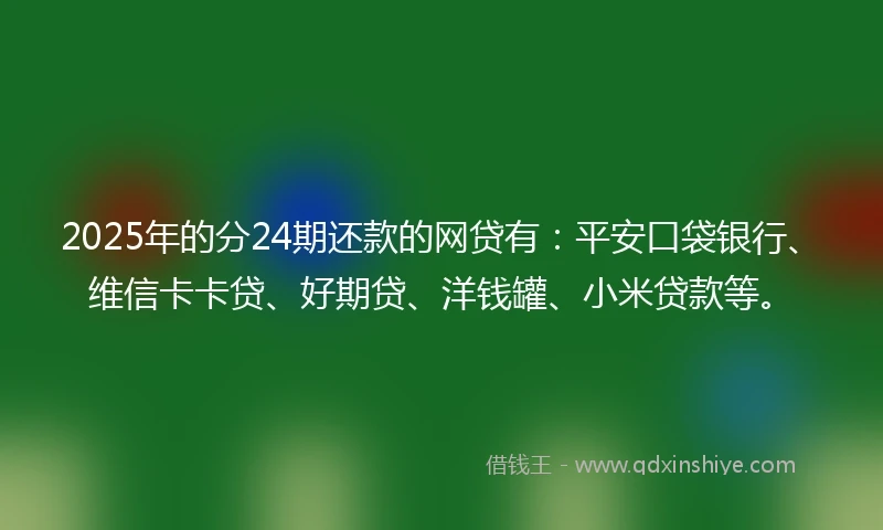 2025年的分24期还款的网贷有：平安口袋银行、维信卡卡贷、好期贷、洋钱罐、小米贷款等。
