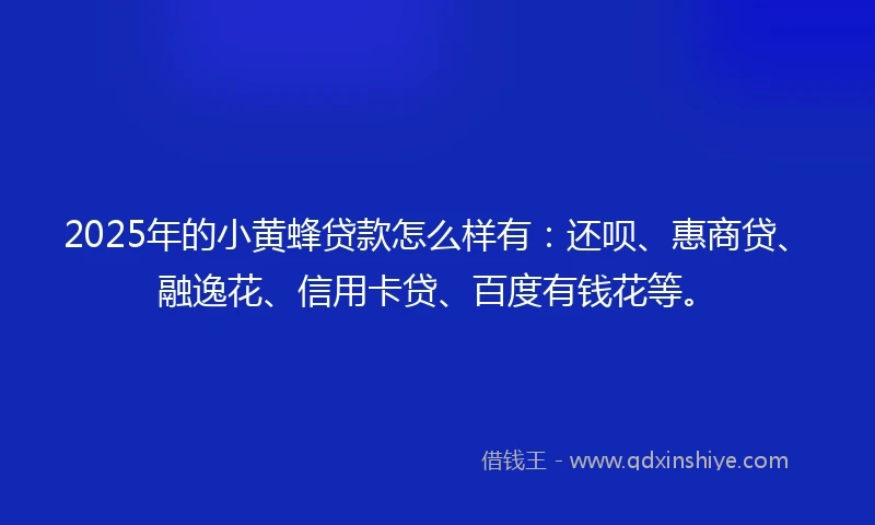 2025年的小黄蜂贷款怎么样有：还呗、惠商贷、融逸花、信用卡贷、百度有钱花等。