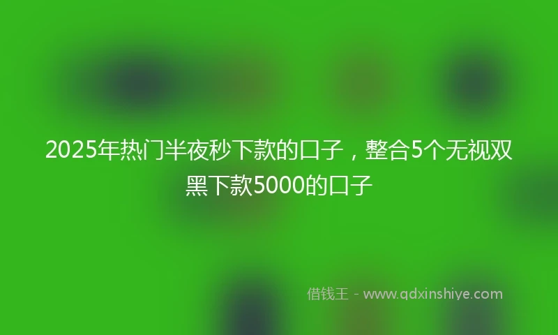 2025年热门半夜秒下款的口子，整合5个无视双黑下款5000的口子