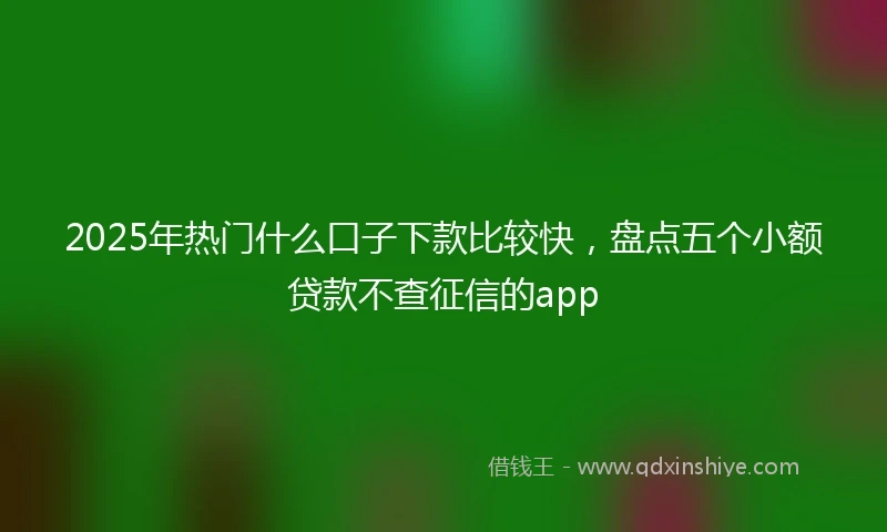 2025年热门什么口子下款比较快，盘点五个小额贷款不查征信的app