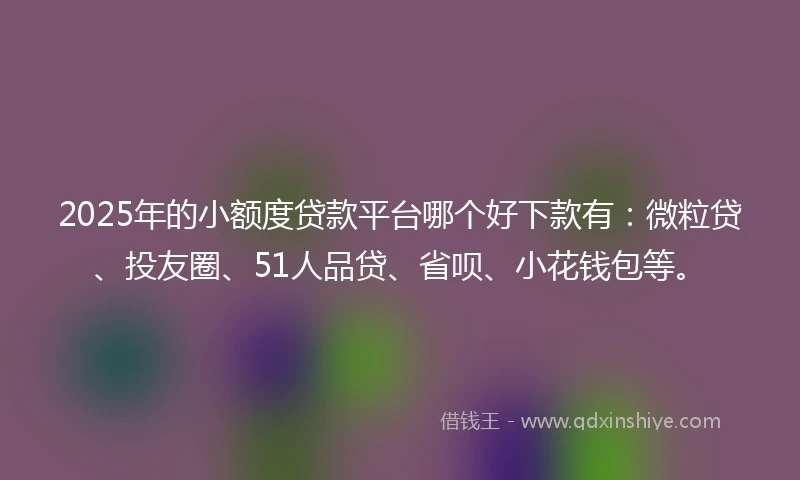 2025年的小额度贷款平台哪个好下款有：微粒贷、投友圈、51人品贷、省呗、小花钱包等。