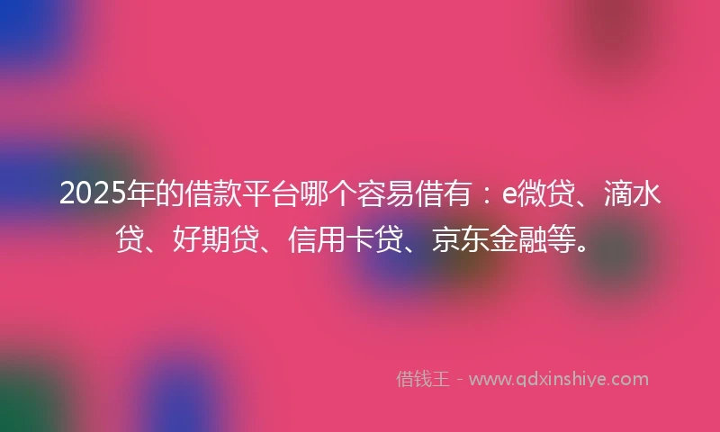 2025年的借款平台哪个容易借有：e微贷、滴水贷、好期贷、信用卡贷、京东金融等。