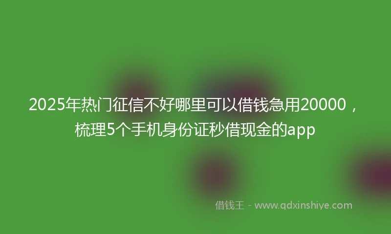 2025年热门征信不好哪里可以借钱急用20000，梳理5个手机身份证秒借现金的app