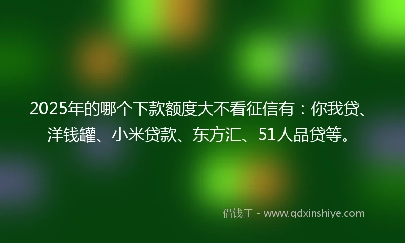 2025年的哪个下款额度大不看征信有：你我贷、洋钱罐、小米贷款、东方汇、51人品贷等。