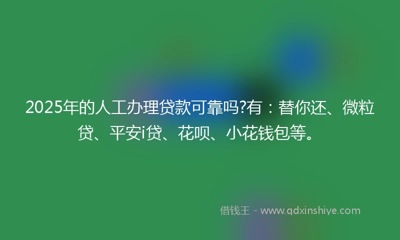 2025年的人工办理贷款可靠吗?有：替你还、微粒贷、平安i贷、花呗、小花钱包等。