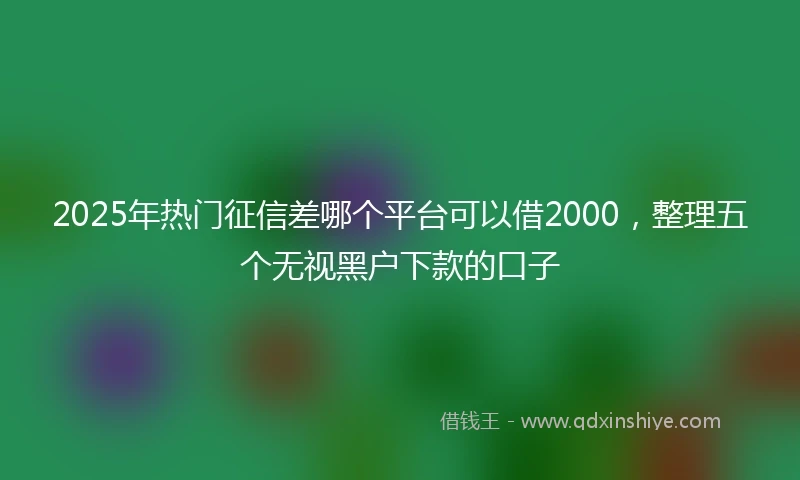 2025年热门征信差哪个平台可以借2000，整理五个无视黑户下款的口子