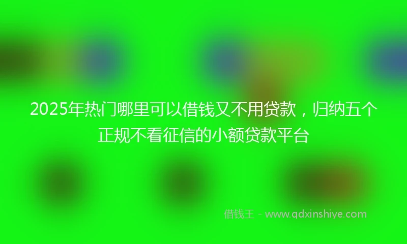 2025年热门哪里可以借钱又不用贷款，归纳五个正规不看征信的小额贷款平台