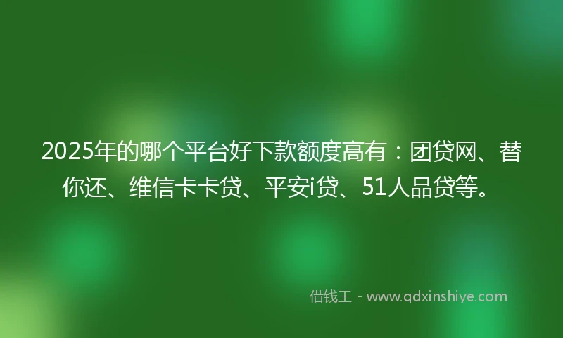 2025年的哪个平台好下款额度高有：团贷网、替你还、维信卡卡贷、平安i贷、51人品贷等。