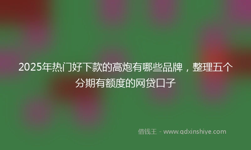 2025年热门好下款的高炮有哪些品牌，整理五个分期有额度的网贷口子