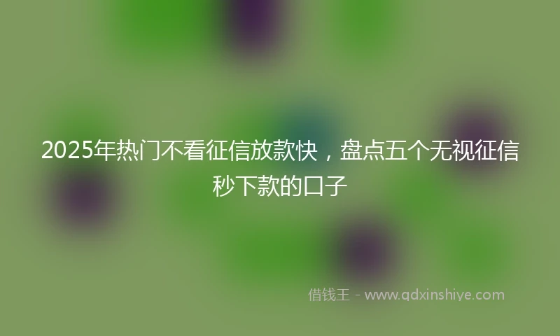 2025年热门不看征信放款快，盘点五个无视征信秒下款的口子