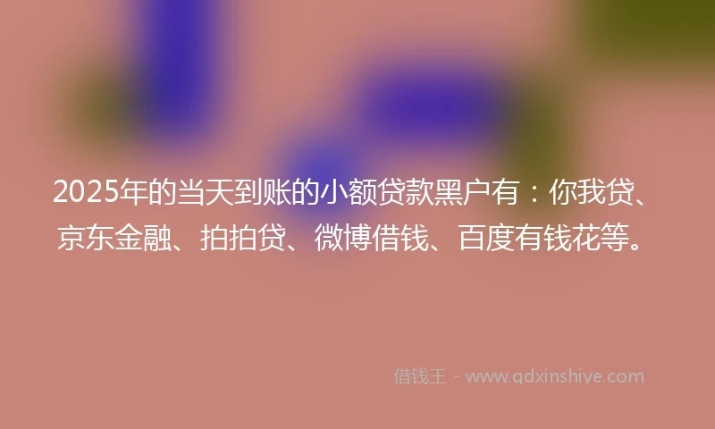 2025年的当天到账的小额贷款黑户有：你我贷、京东金融、拍拍贷、微博借钱、百度有钱花等。