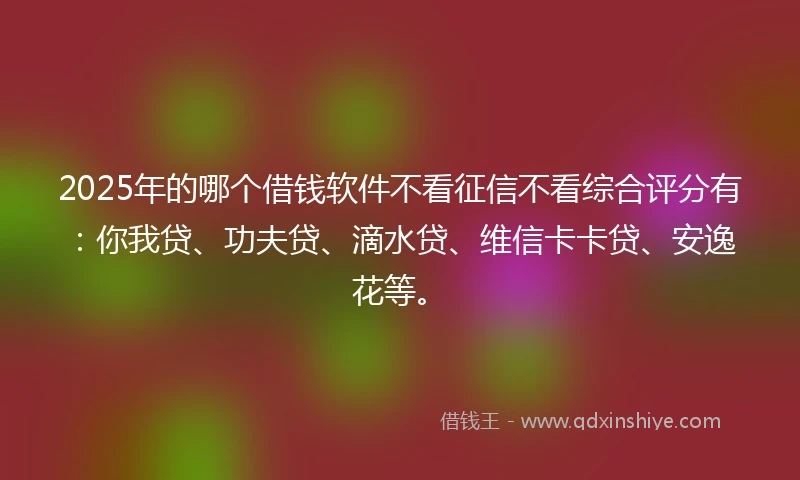 2025年的哪个借钱软件不看征信不看综合评分有：你我贷、功夫贷、滴水贷、维信卡卡贷、安逸花等。