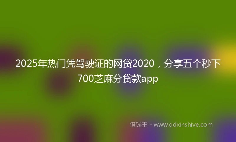 2025年热门凭驾驶证的网贷2020，分享五个秒下700芝麻分贷款app