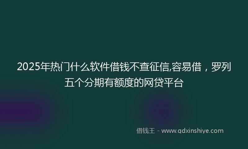 2025年热门什么软件借钱不查征信,容易借，罗列五个分期有额度的网贷平台