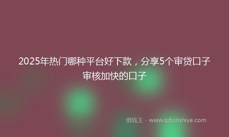 2025年热门哪种平台好下款，分享5个审贷口子审核加快的口子