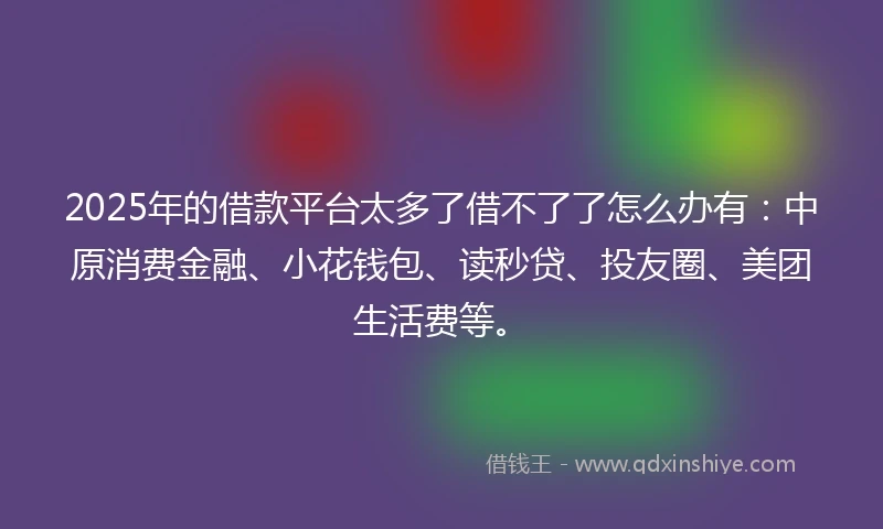 2025年的借款平台太多了借不了了怎么办有：中原消费金融、小花钱包、读秒贷、投友圈、美团生活费等。