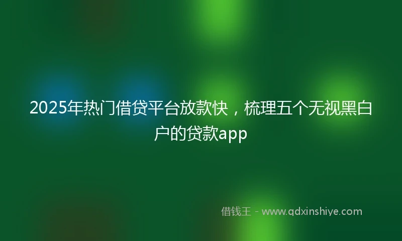 2025年热门借贷平台放款快，梳理五个无视黑白户的贷款app
