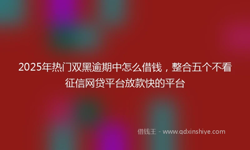 2025年热门双黑逾期中怎么借钱，整合五个不看征信网贷平台放款快的平台