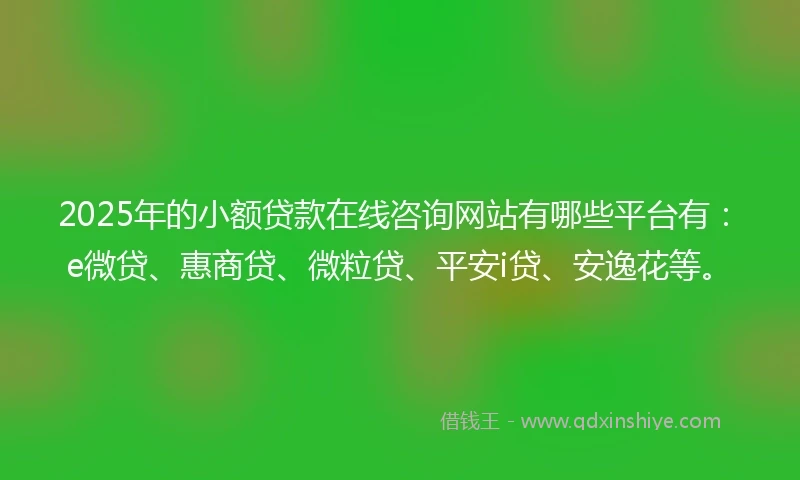2025年的小额贷款在线咨询网站有哪些平台有：e微贷、惠商贷、微粒贷、平安i贷、安逸花等。
