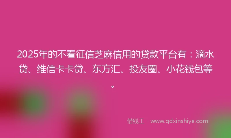 2025年的不看征信芝麻信用的贷款平台有：滴水贷、维信卡卡贷、东方汇、投友圈、小花钱包等。