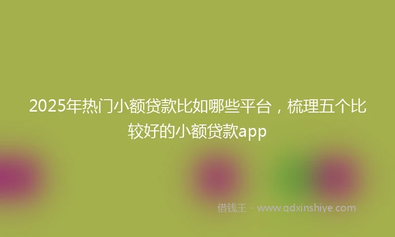 2025年热门小额贷款比如哪些平台，梳理五个比较好的小额贷款app