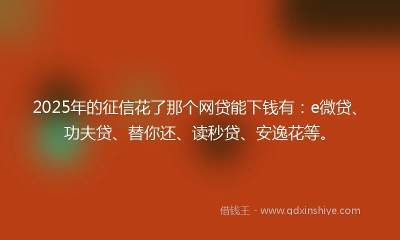 2025年的征信花了那个网贷能下钱有：e微贷、功夫贷、替你还、读秒贷、安逸花等。