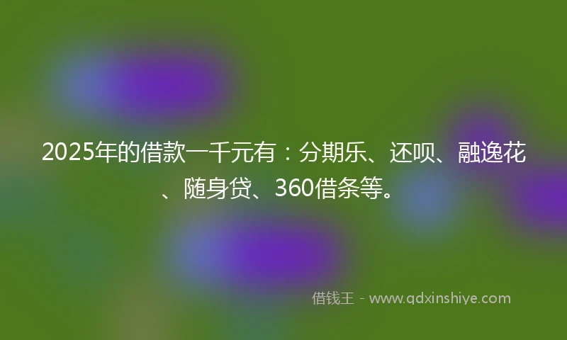 2025年的借款一千元有：分期乐、还呗、融逸花、随身贷、360借条等。