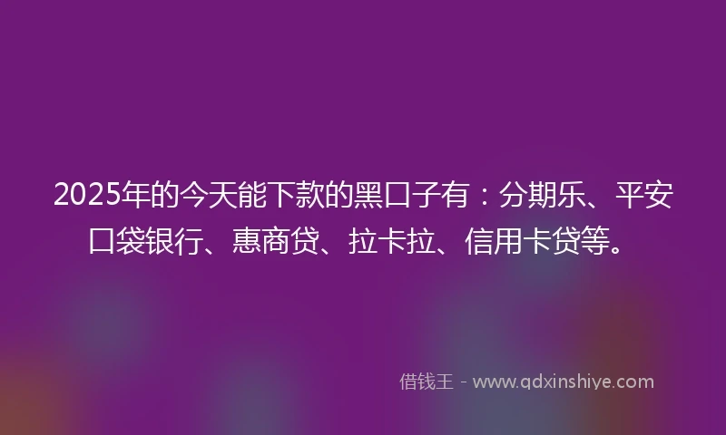 2025年的今天能下款的黑口子有：分期乐、平安口袋银行、惠商贷、拉卡拉、信用卡贷等。