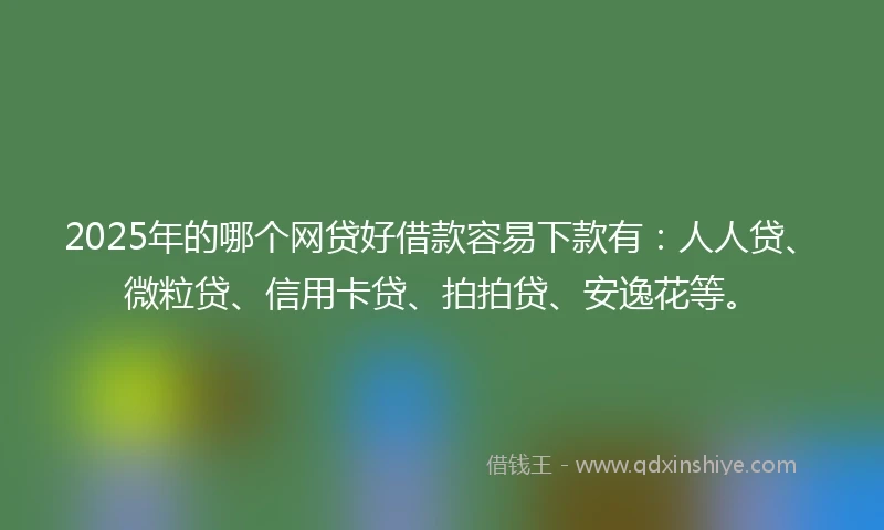 2025年的哪个网贷好借款容易下款有：人人贷、微粒贷、信用卡贷、拍拍贷、安逸花等。