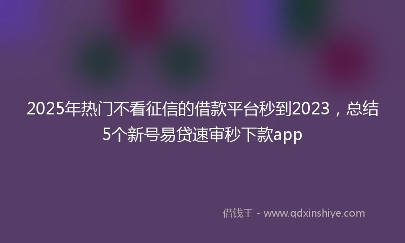 2025年热门不看征信的借款平台秒到2023，总结5个新号易贷速审秒下款app