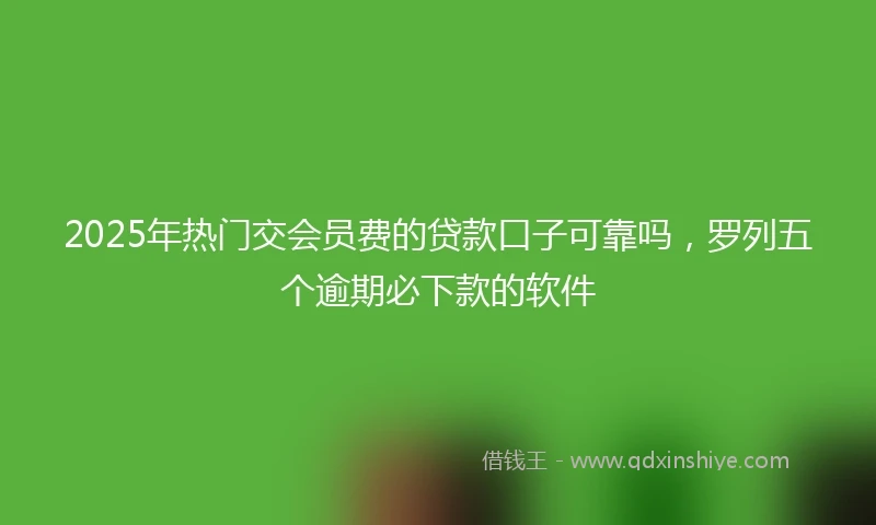 2025年热门交会员费的贷款口子可靠吗，罗列五个逾期必下款的软件