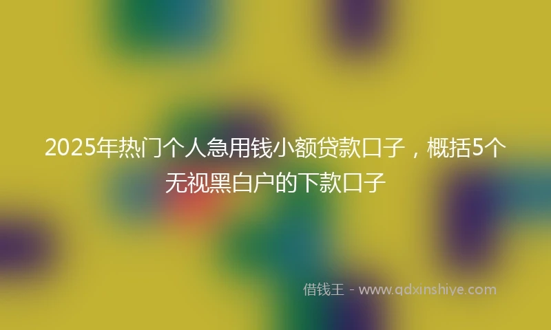 2025年热门个人急用钱小额贷款口子，概括5个无视黑白户的下款口子