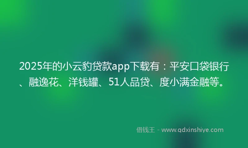 2025年的小云豹贷款app下载有：平安口袋银行、融逸花、洋钱罐、51人品贷、度小满金融等。