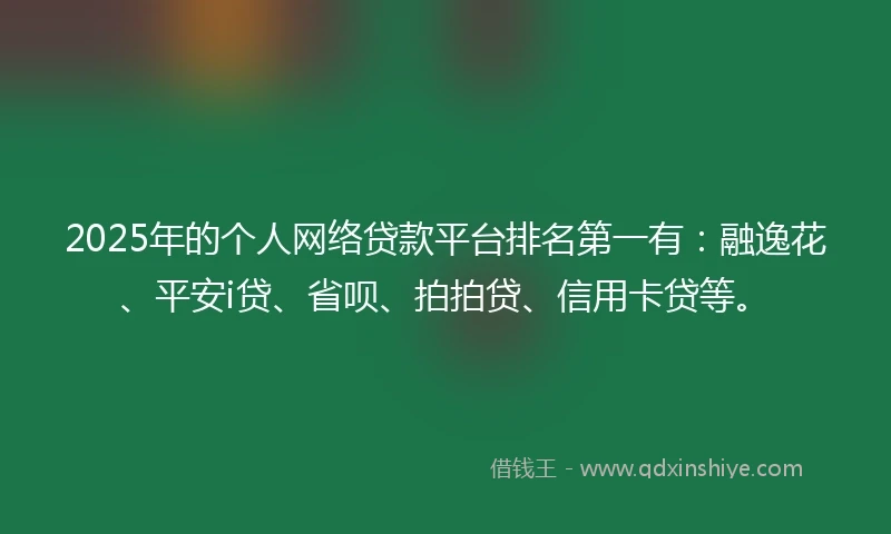 2025年的个人网络贷款平台排名第一有：融逸花、平安i贷、省呗、拍拍贷、信用卡贷等。