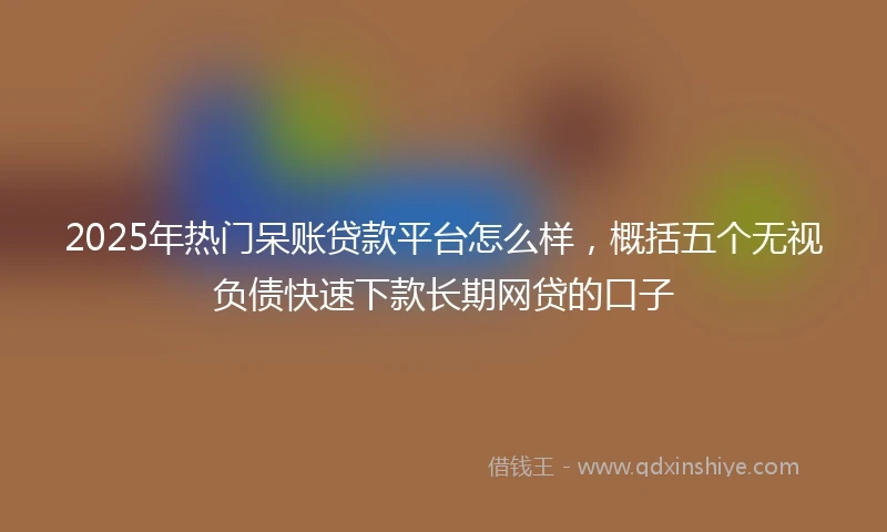 2025年热门呆账贷款平台怎么样，概括五个无视负债快速下款长期网贷的口子