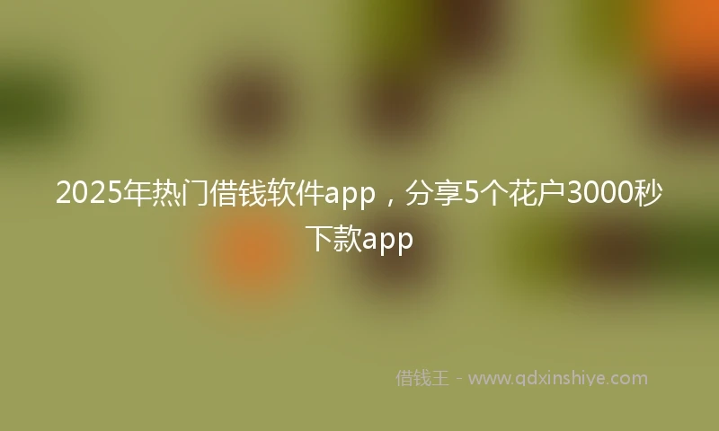 2025年热门借钱软件app，分享5个花户3000秒下款app