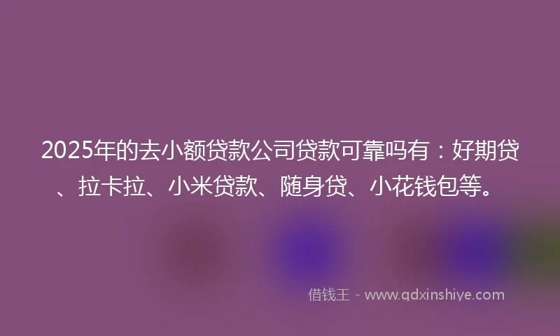 2025年的去小额贷款公司贷款可靠吗有：好期贷、拉卡拉、小米贷款、随身贷、小花钱包等。