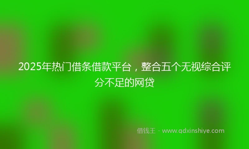 2025年热门借条借款平台，整合五个无视综合评分不足的网贷