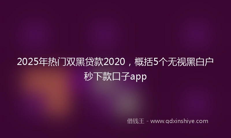 2025年热门双黑贷款2020，概括5个无视黑白户秒下款口子app