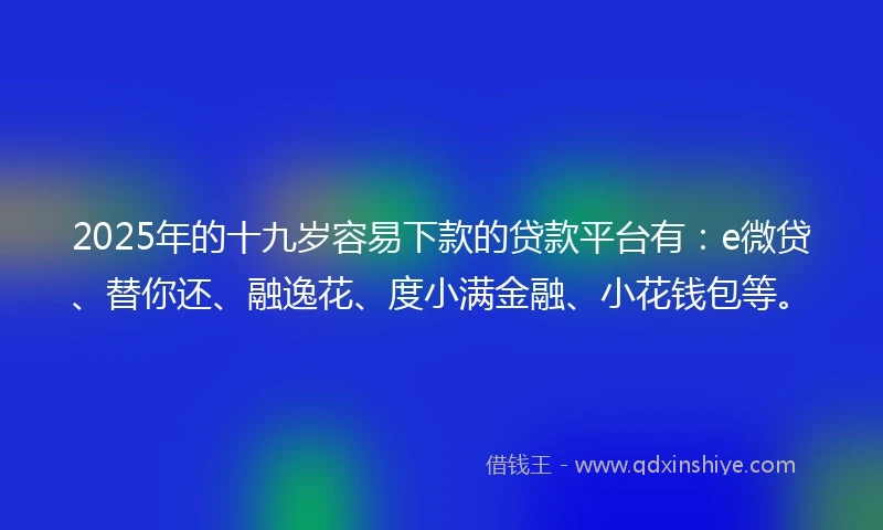 2025年的十九岁容易下款的贷款平台有：e微贷、替你还、融逸花、度小满金融、小花钱包等。