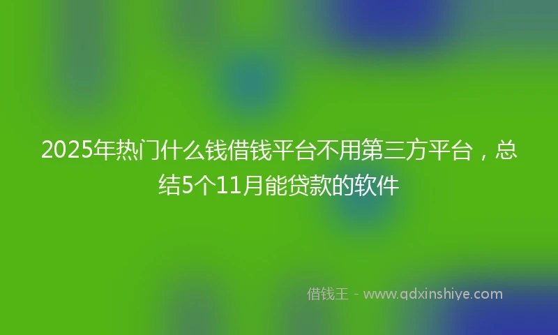 2025年热门什么钱借钱平台不用第三方平台，总结5个11月能贷款的软件